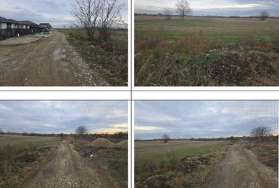 Teren de 4946 mp, în Clinceni - 5