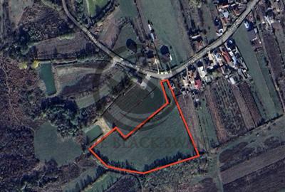 Teren Construcții intravilan de 11000 mp, în Ghirdoveni - 3