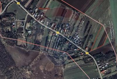 Teren de 10000 mp, în Butimanu - 4