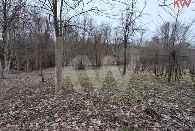 Teren Construcții intravilan de 2117 mp, în Sud - 2