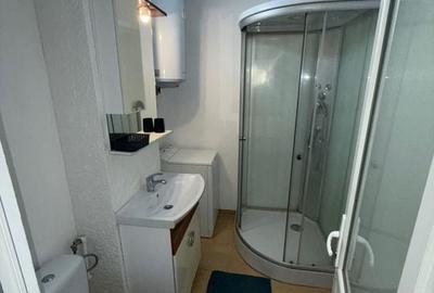 Garsonieră mobilată și utilată Sector 3 – Auchan Vitan - 9