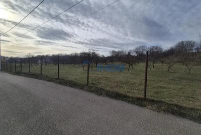 Teren de 9123 mp, în Central - 6