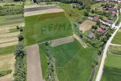 Teren agricol extravilan de 25100 mp, în Prejmer - 14