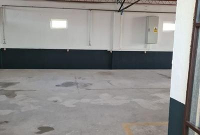 Spațiu industrial, depozitare + birouri - zona Giarmata - 3