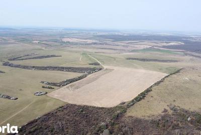 Teren de 268200 mp, în Ardud - 2