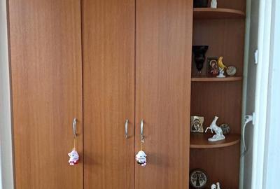 Apartament cu 2 camere semidecomandat în Gojdu - 10