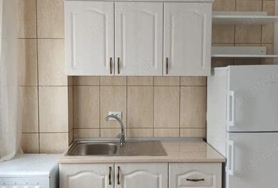 Garsonieră semidecomandată în Negru Vodă - 4