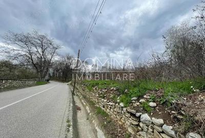 Vanzare teren intravilan - Runcu - oportunitate intr-o zona turistica deosebita - 6