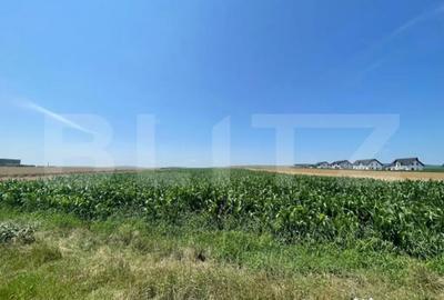 Teren de 10300 mp, în Central