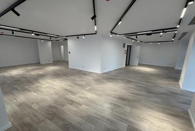 Birou, de 136 mp, în Pache Protopopescu - 5