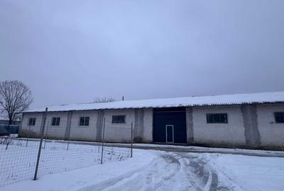 Spațiu industrial, de 650 mp, în Cristian - 1