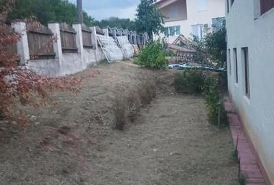 Casă cu Teren 2800 Mp în Văleni - 5