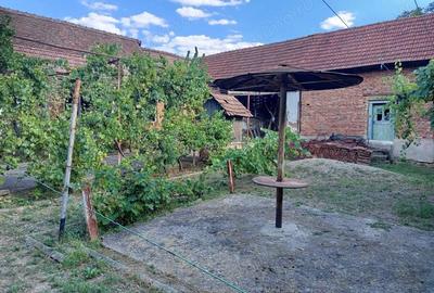 Casă cu Teren 842 Mp în Naidăș - 4