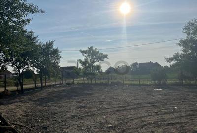 Casă cu 4 camere cu Teren 1439 Mp în Sălard - 16