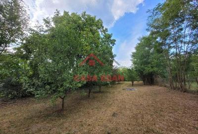 Teren intravilan in Banesti--2093mp--59.000e - 3