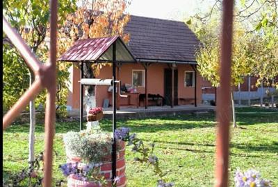 Vand casa de vacanta - 2