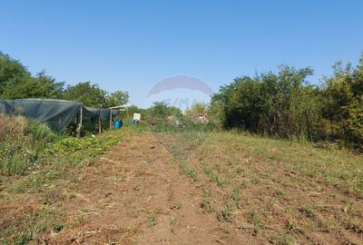 Vanzare teren Saftica strada Calea Bucuresti - 2