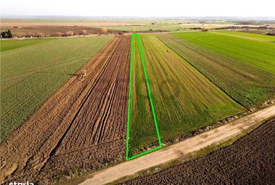 Spațiu comercial, în Tămășeu - 6