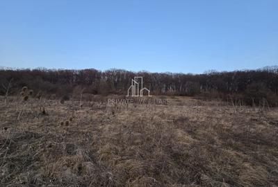 Teren agricol extravilan de 28800 mp, în Sud - 4