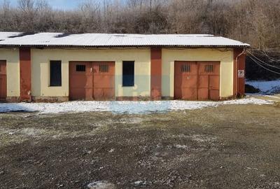Spațiu industrial, de 600 mp, în Doman - 2