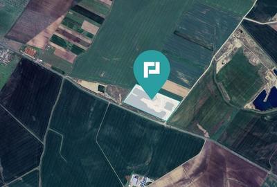 Balta cu potențial investițional, Horia, Arad - 6