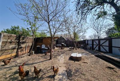 Casă cu 3 camere cu Teren 361 Mp în Sălard - 17