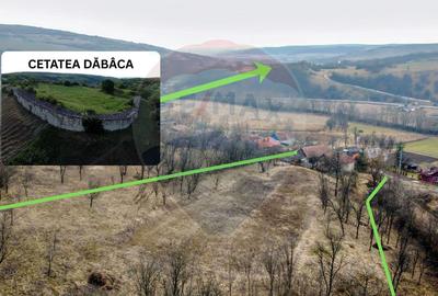 Teren Construcții intravilan de 4887 mp, în Dăbâca - 3