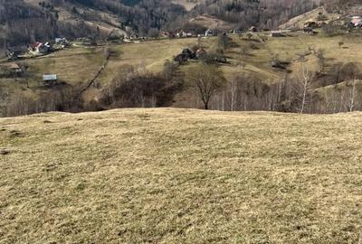 Vanzare Teren cu Punct de Belvedere in Moieciu zona Magura-Pestera - 16