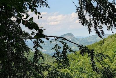 Teren montan cu priveliste si izvor - 5727mp in Buces, langa padure - 4