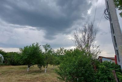 Teren intravilan de vânzare | 900 mp | Movila | Toate utilitatile - 3