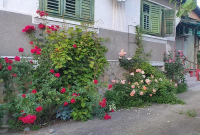 Casa in satul Colun ,cu D+P inalt ,sura mare si 1100mp teren - 8