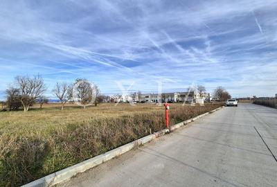 AX959 Teren Intravilan, Zona Industriala Monlandys, Calea Sagului - 2