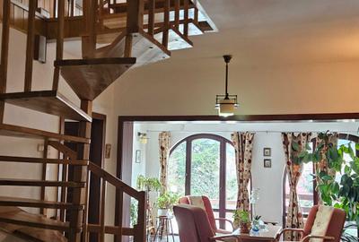 Casă cu 4 camere în Poiana Țapului - 6