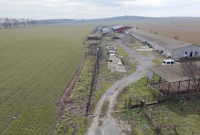 Teren de 4300 mp, în Sălcioara - 4
