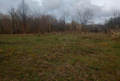 Teren Construcții intravilan de 4062 mp, în Cătunu (Drajna) - 10