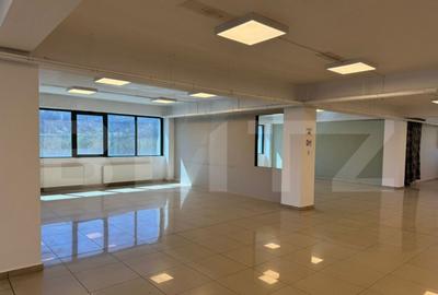 Spa?iu comercial / showroom, de inchiriat, 500 mp, zona Ca - 4