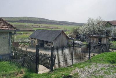 Vand casa la tara - 4