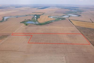 FRUMUSANI - PASAREA, TEREN 14420 MP, FRONT 40 M! - 9