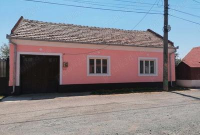 Vand casa in Moldova veche - 1