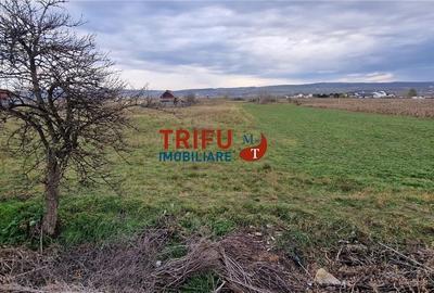 Teren 2160mp în  Partoș - 7