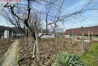 Casă cu 3 camere cu Canalizare în Niculițel - 4