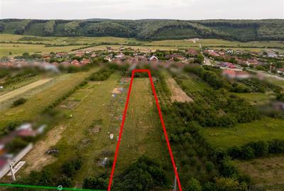 Teren intravilan de 3000 mp, în Betfia - 4