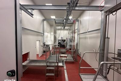 Teren de 105000 mp, în Singureni - 14