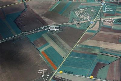 Teren intravilan de 5935 mp, în Tăuteu