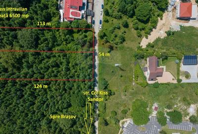 Teren Construcții intravilan de 3000 mp, în Dâmbul Morii - 6