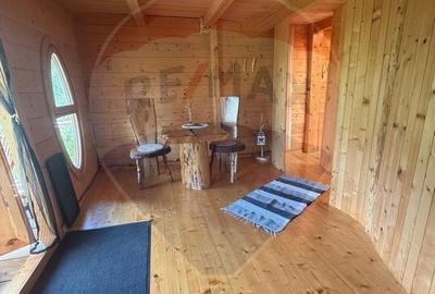 Casă cu Teren 62000 Mp în Horea - 8
