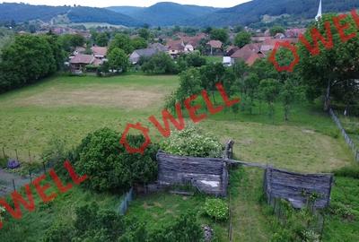 Casă cu 3 camere cu Teren 3599 Mp în Vârghiș - 3