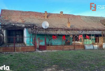 Casă cu 7 camere cu Teren 1458 Mp în Lenauheim - 14