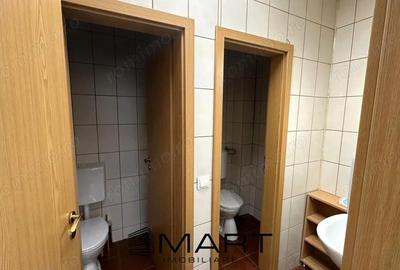 Spatiu birouri 250mp Calea Dumbravii - 1