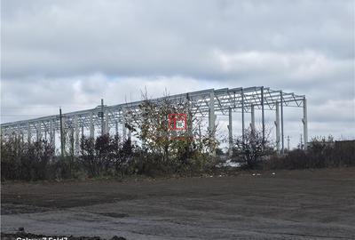 Depozit/hala/spatiu industrial Mogosoaia - Buftea - 5